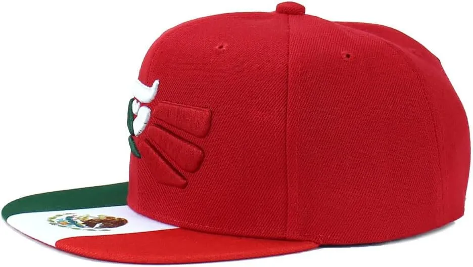 Mexican Mexico Hat Hecho En Mexico Eagle Aguila Snapback Flat Bill Baseball Cap