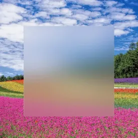 Rock Hard Plastics - 12" x 12" Clear Frosted P95 Privacy Acrylic Sheet Lucite Plexiglass (Actual Size 11.875" x 11.875" - .118" (1/8"), Frosted)